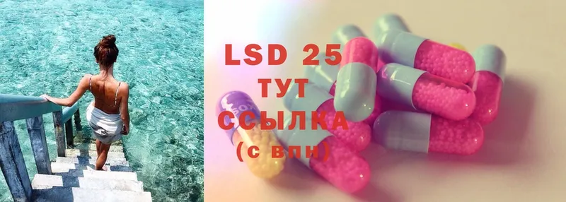 ЛСД экстази ecstasy  купить наркотик  Камбарка 